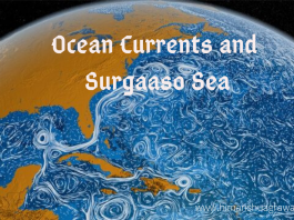 Ocean Currents and Sargasso Sea