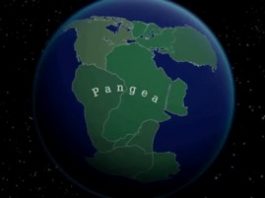 महाद्वीपीय प्रवाह का सिद्धांत । Continental Drift Theory UPSC - Alfred Wegener