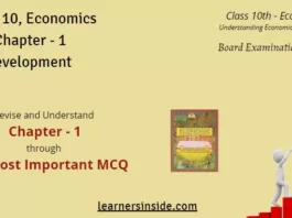 MCQs | Development - Class 10, Economics | Chapter-1 - Social Science